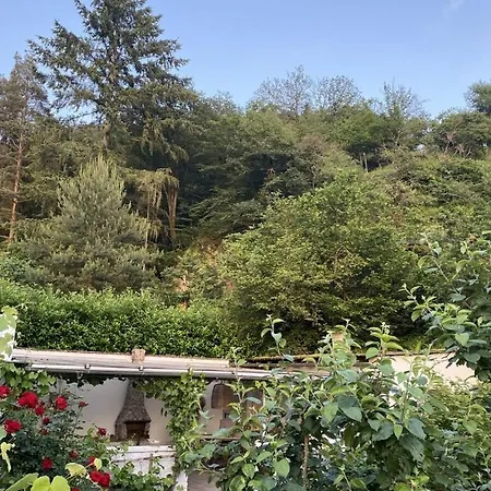 Fraenz Comfortable Vakantiehuis Kamp-Bornhofen